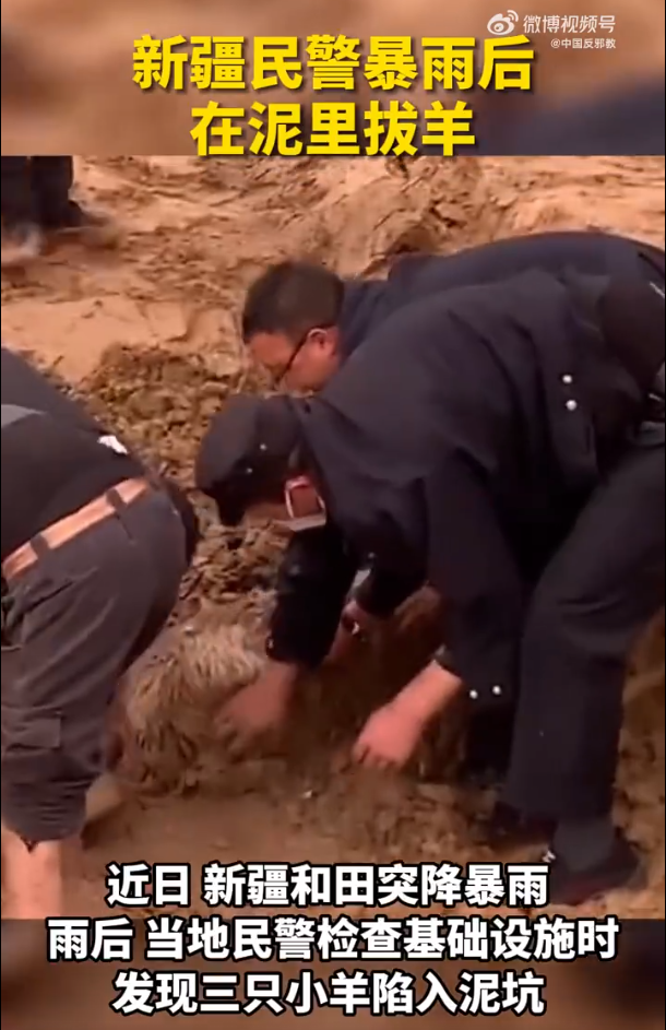 新疆民警暴雨后在泥里拔羊 網(wǎng)友“光看標題就覺得很可愛了”