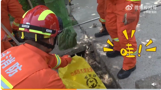 微信截圖_20220503170751.png