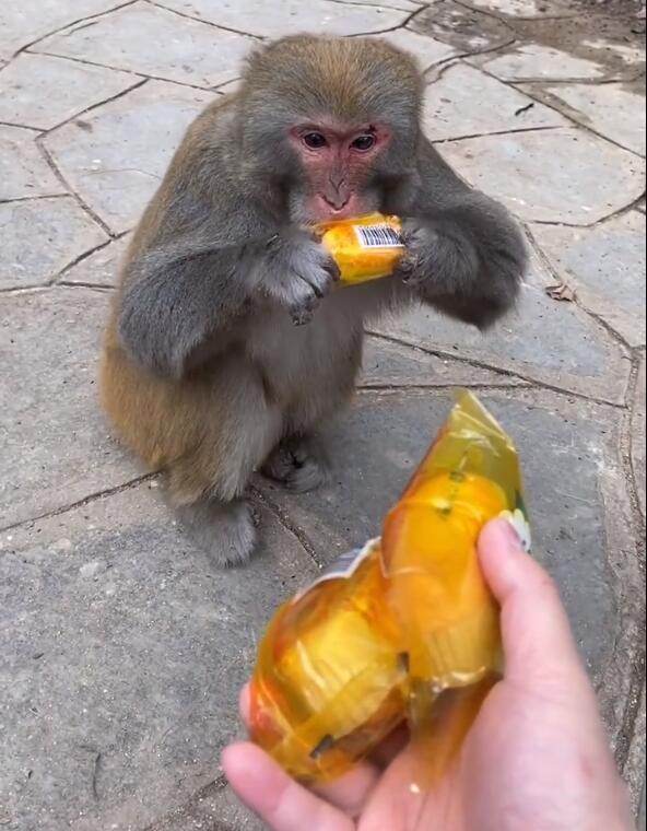 QQ截圖20220927103337.jpg