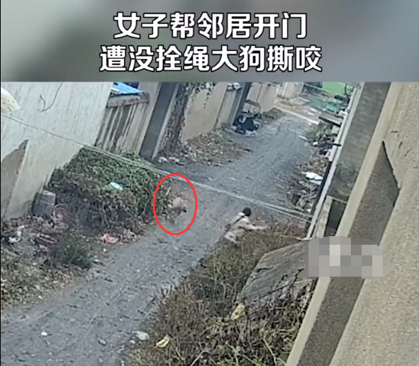 QQ截圖20221201102236.png