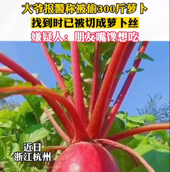 QQ截圖20221202110948.jpg