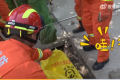 眼鏡王蛇竄入村莊被逮住送動物園 消防：“因其有劇毒，不敢隨意放生”