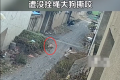 女子幫鄰居開門被沖出的大狗撕咬 狗主人態(tài)度差令人寒心