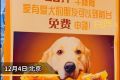 飯店每日免費(fèi)送熬湯剩骨給養(yǎng)犬顧客 網(wǎng)友“你到是給地址啊”
